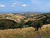 40-P8239476+.jpg